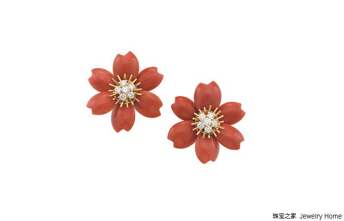 红珊瑚孩儿面,阿卡沙丁momo红珊瑚对比