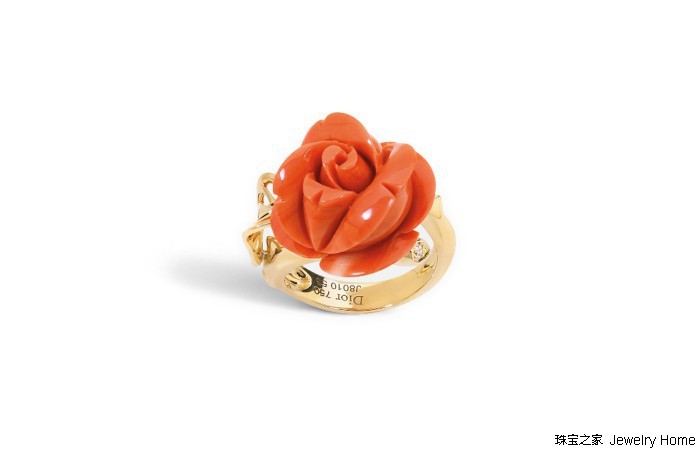 红珊瑚孩儿面,阿卡沙丁momo红珊瑚对比