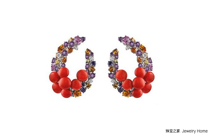 红珊瑚孩儿面,阿卡沙丁momo红珊瑚对比