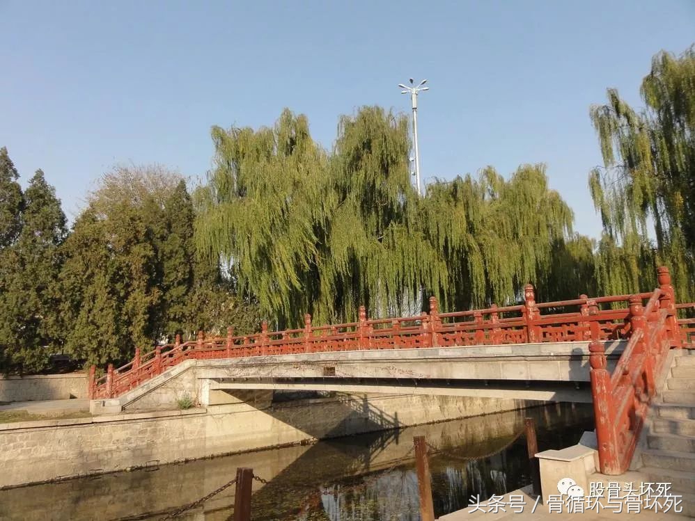 流感的故事视频,冬季流感的故事