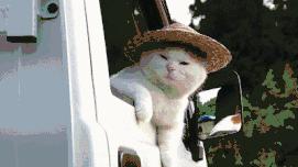 秦皇岛交警全城查酒驾！好友两人一同入网！你中招了吗？