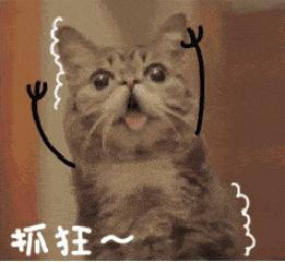 秦皇岛交警全城查酒驾！好友两人一同入网！你中招了吗？