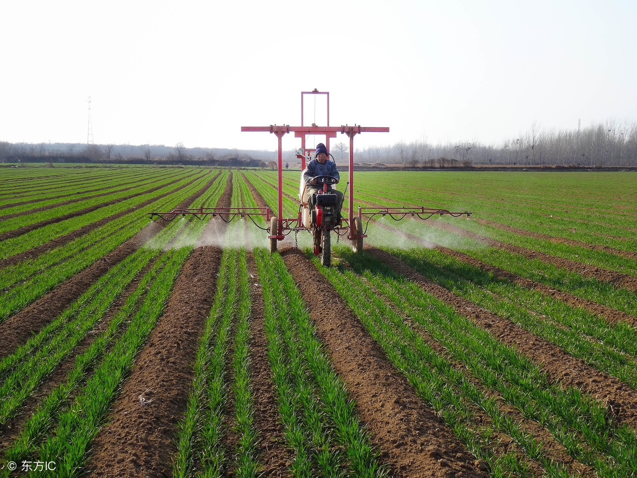 七年级下地理全册必背考点,七年级下地理期末复习资料人教版