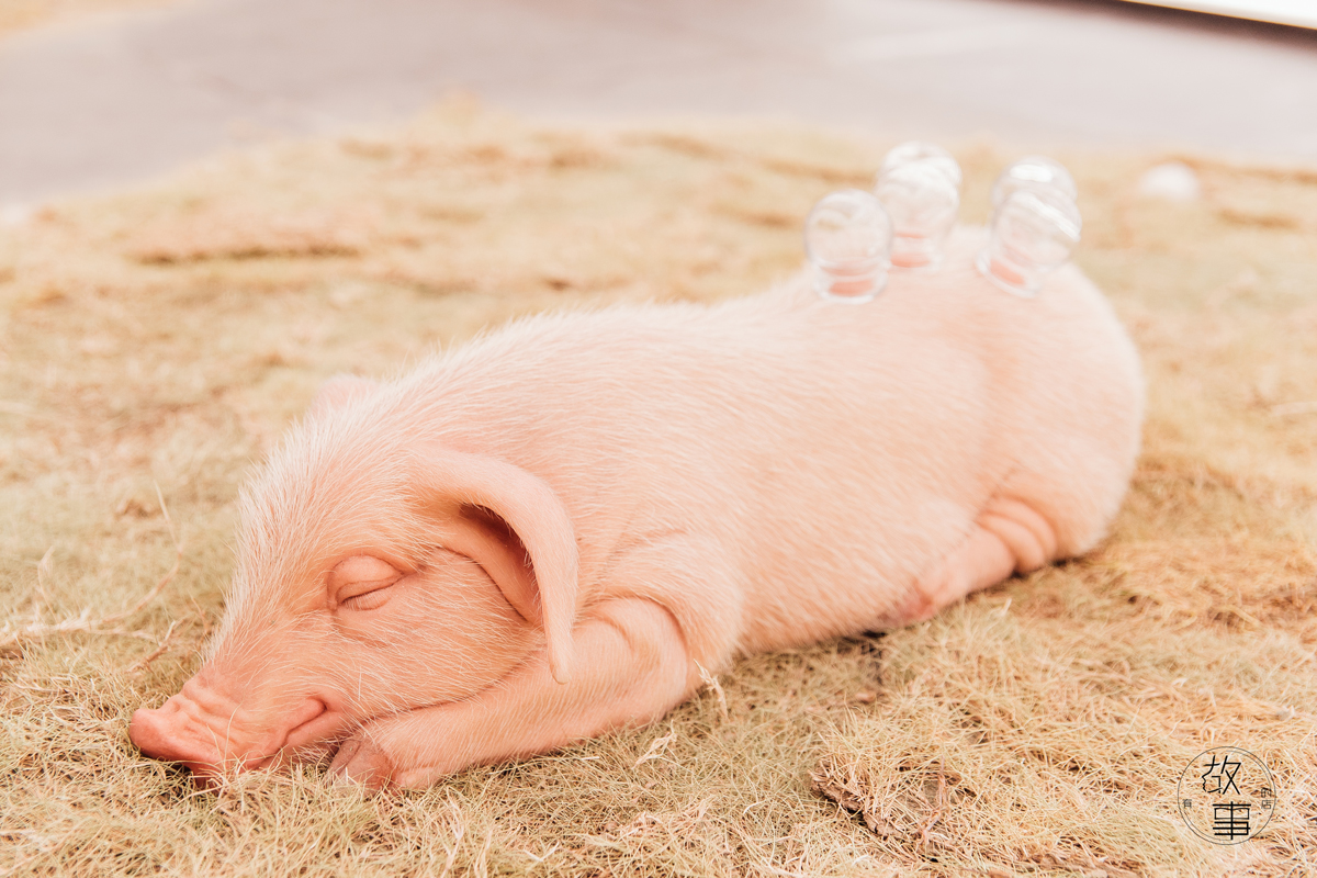 网红书店好看吗,网红书店引得来还要留得住