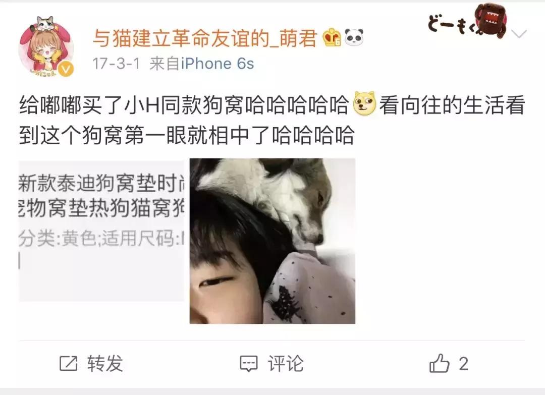 看向往的生活能学会什么,看向往的生活后的感想