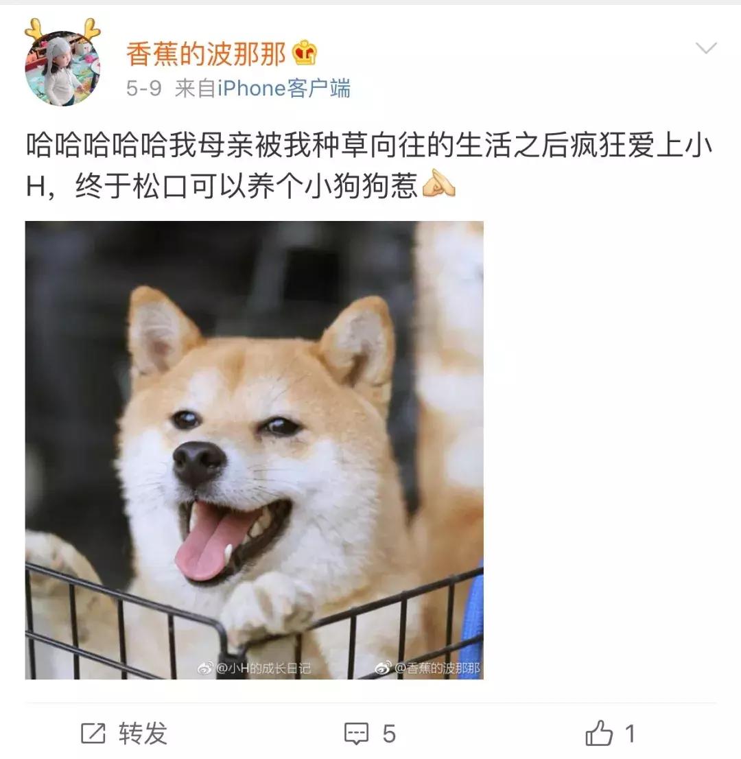 看向往的生活能学会什么,看向往的生活后的感想