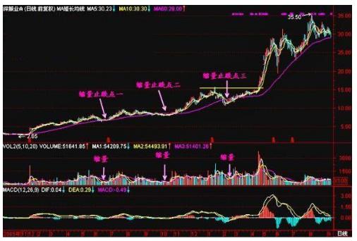 秘不外传的*家庄**十年洗盘铁律，掌握你就是下一个股市高手！