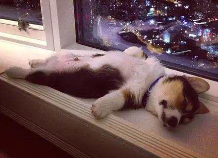 酒喝多了胃会有什么问题,酒喝多了怎样保护胃