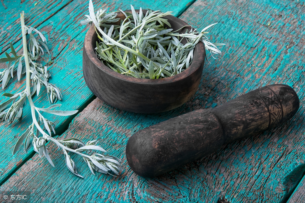 艾叶都有哪些好处怎么用,艾叶的7大好处你都知道吗