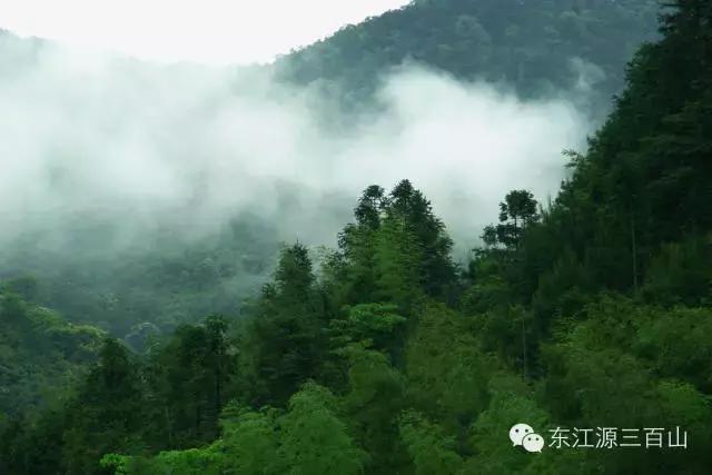 东江源三百山旅游攻略,东江源三百山