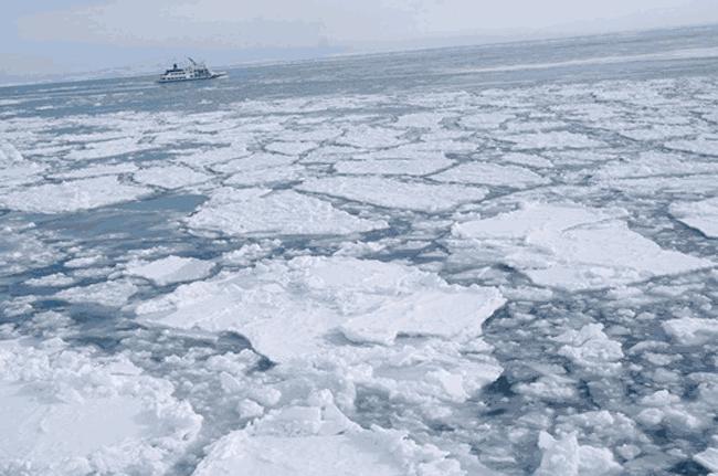 北海道網走的青蓝色啤酒，喝上一口，宛如遨游再浩瀚的鄂霍次克海