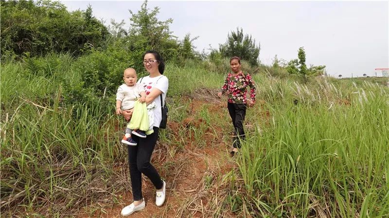 玉屏,为什么能赢?