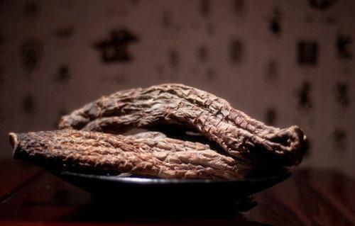 肉苁蓉益精血是什么意思,肉苁蓉养五脏强阴益精气