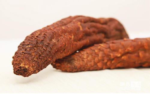 肉苁蓉益精血是什么意思,肉苁蓉养五脏强阴益精气