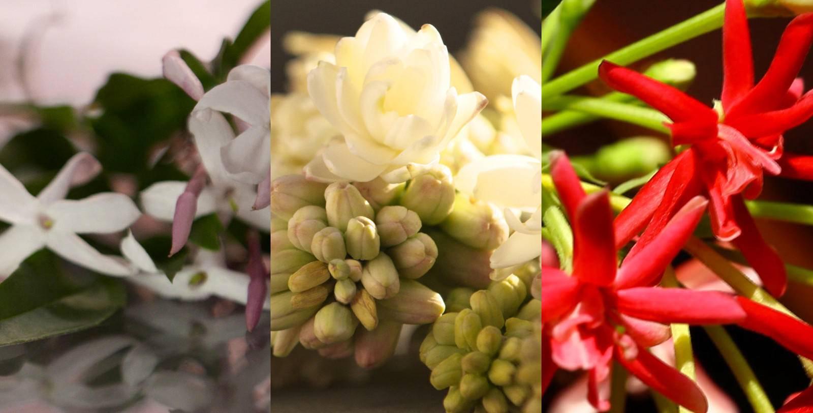 不喷香水的女人没有未来，你有香水，你有未来吗？