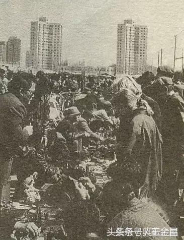 破烂王王利,破烂王王老六