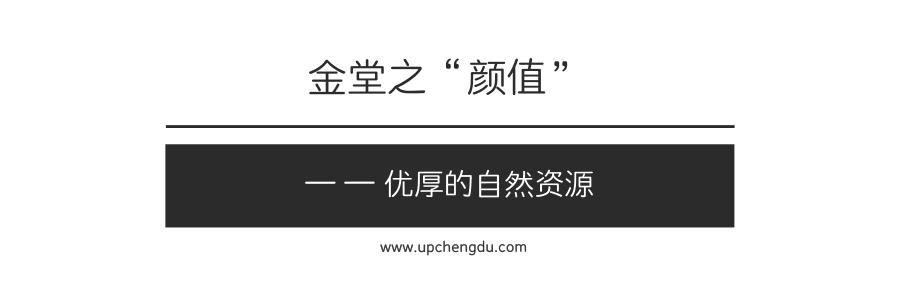 近十年成都出现了多少网红,成都又一个网红地即将诞生