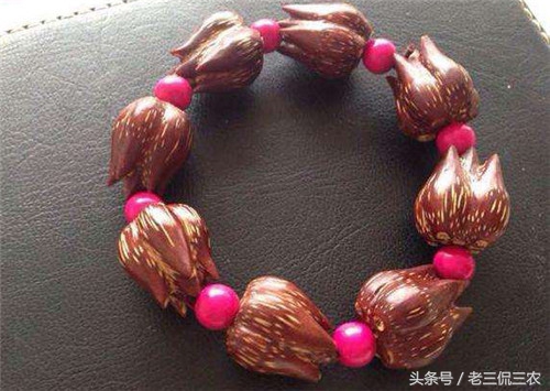 农村路边的它,全身是宝!可很多人根本不晓得,有些人甚至没见过