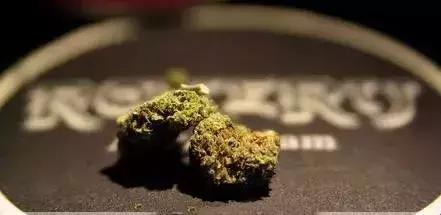 避免抱憾终生!留学在外,“合法*品毒**”碰不得