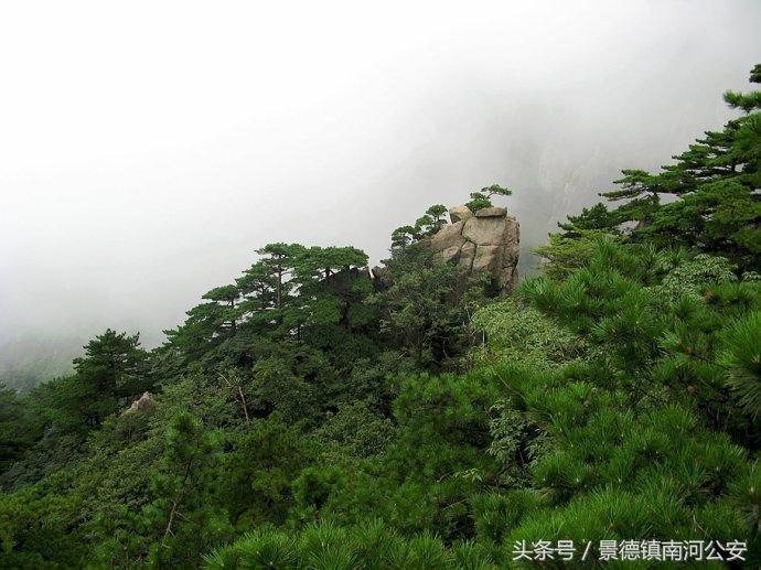 游记｜雾中黄山做梦都想去的人间仙境