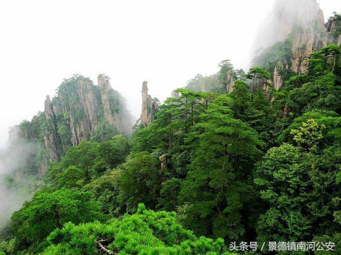 游记｜雾中黄山做梦都想去的人间仙境