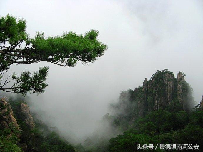 游记｜雾中黄山做梦都想去的人间仙境