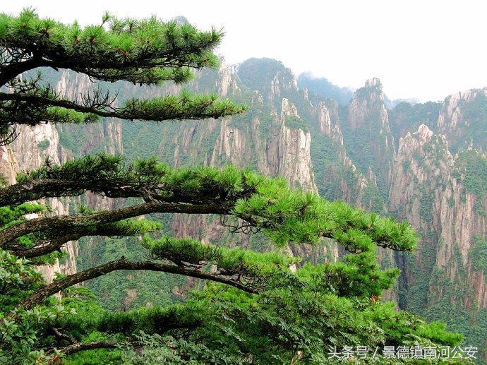 游记｜雾中黄山做梦都想去的人间仙境