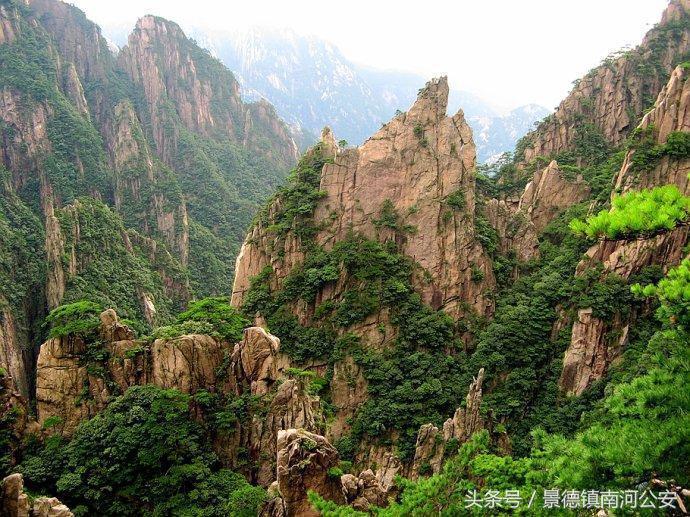 游记｜雾中黄山做梦都想去的人间仙境