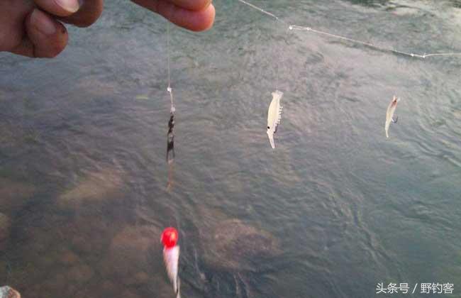 七星串钩钓白条教学视频,串钩钓鲤鱼最佳方法图解