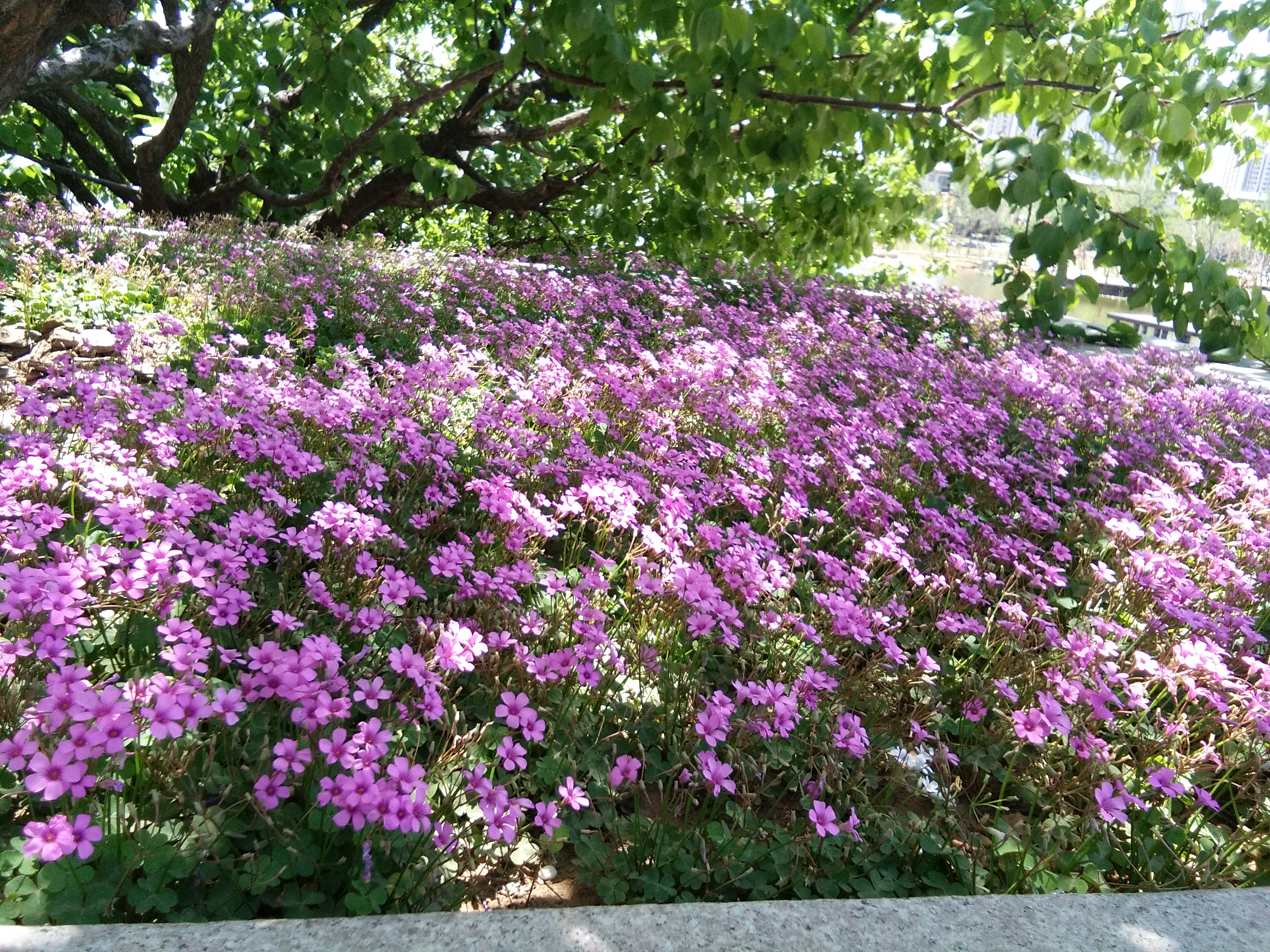 和奶奶视频聊点什么,和奶奶视频通话文案