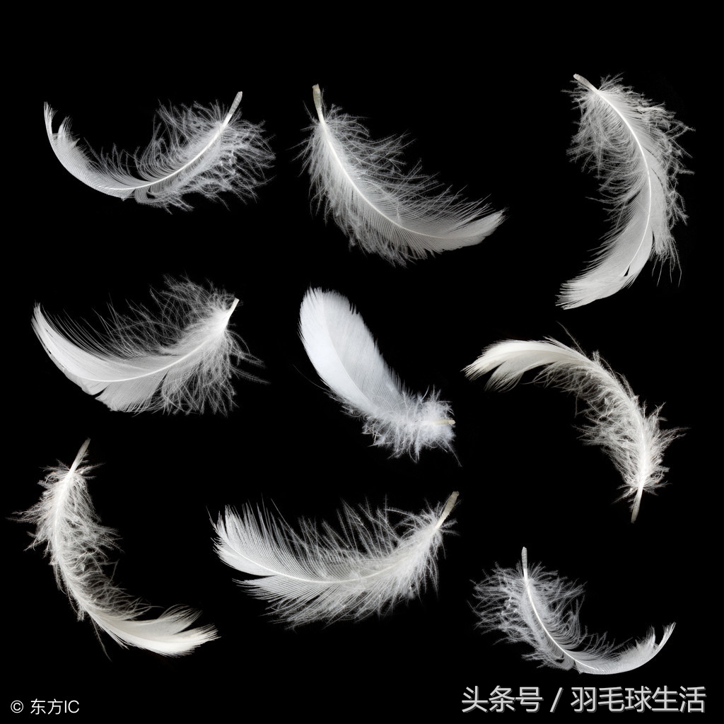 如何辨别羽毛球是否是好羽毛球,怎么判断羽毛球有没有一定基础