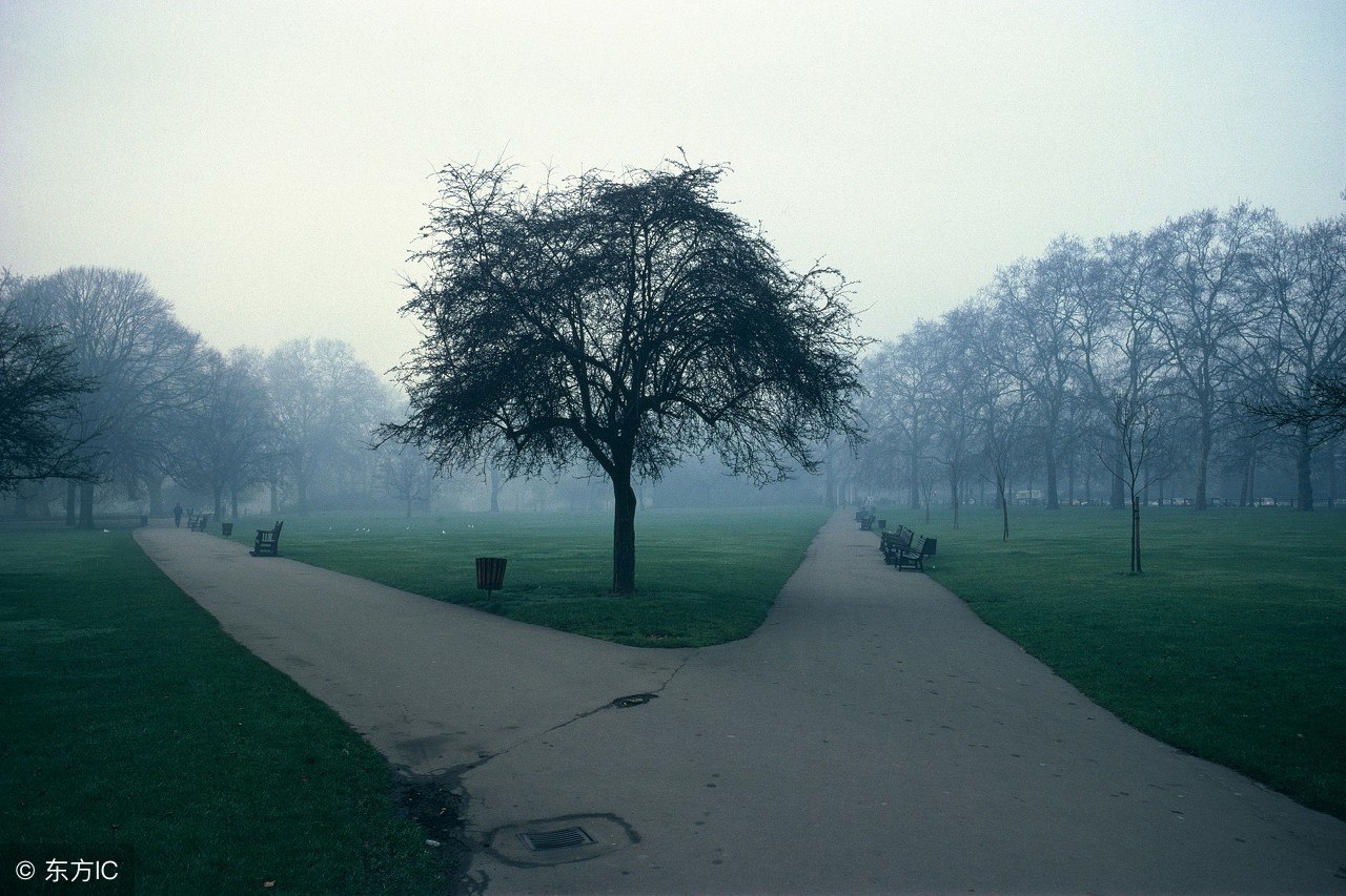 能赚钱的项目一般不会告诉你,很火的赚钱项目10分钟赚1000