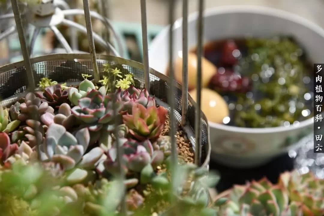 推开世界的门和自己和解,推开世界的门你所看到的风景