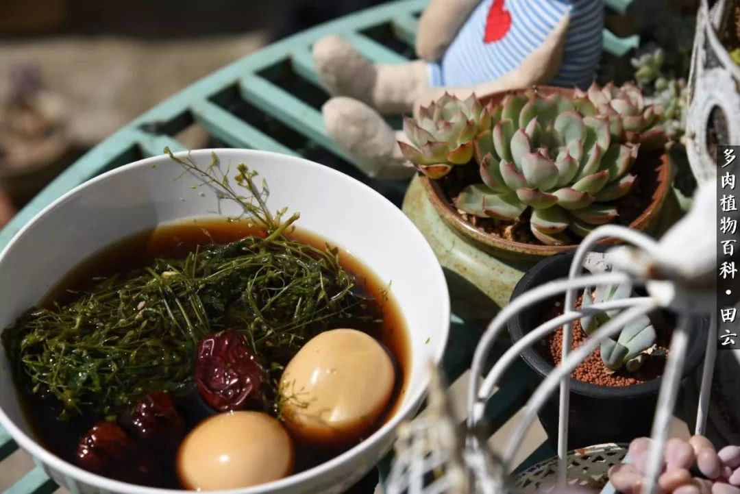 推开世界的门和自己和解,推开世界的门你所看到的风景