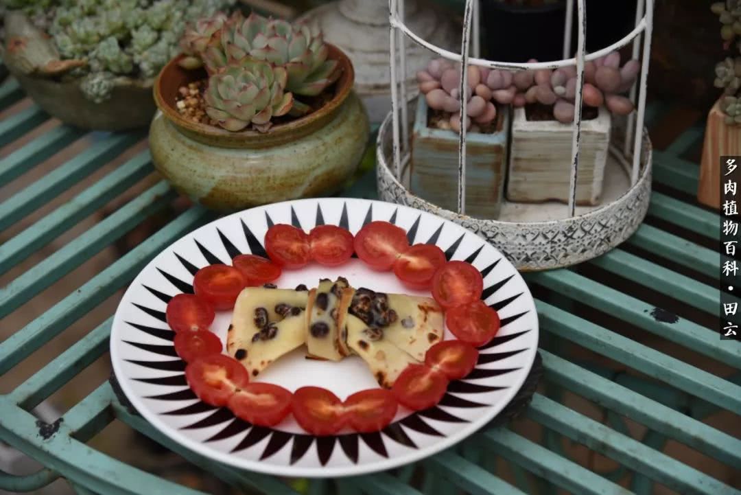 推开世界的门和自己和解,推开世界的门你所看到的风景