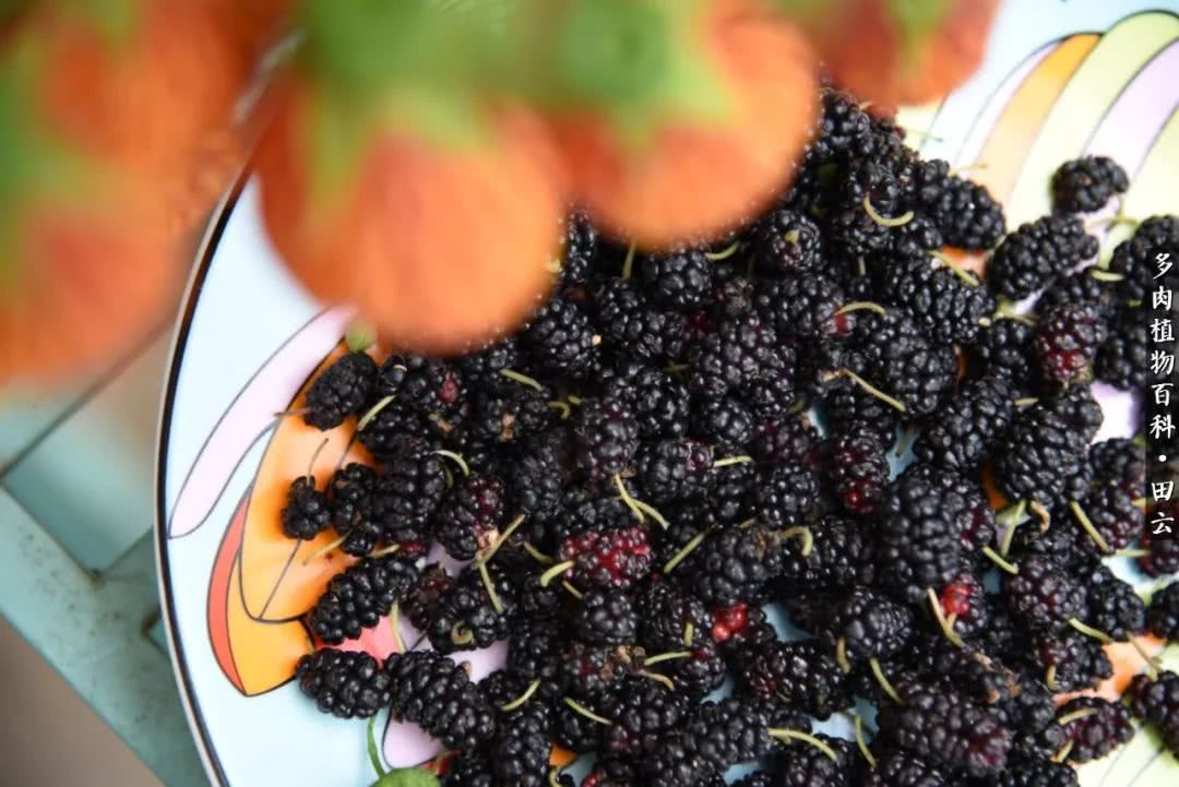 推开世界的门和自己和解,推开世界的门你所看到的风景