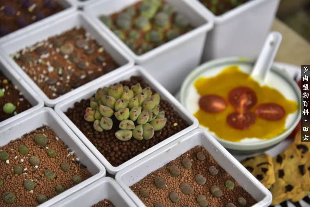 推开世界的门和自己和解,推开世界的门你所看到的风景