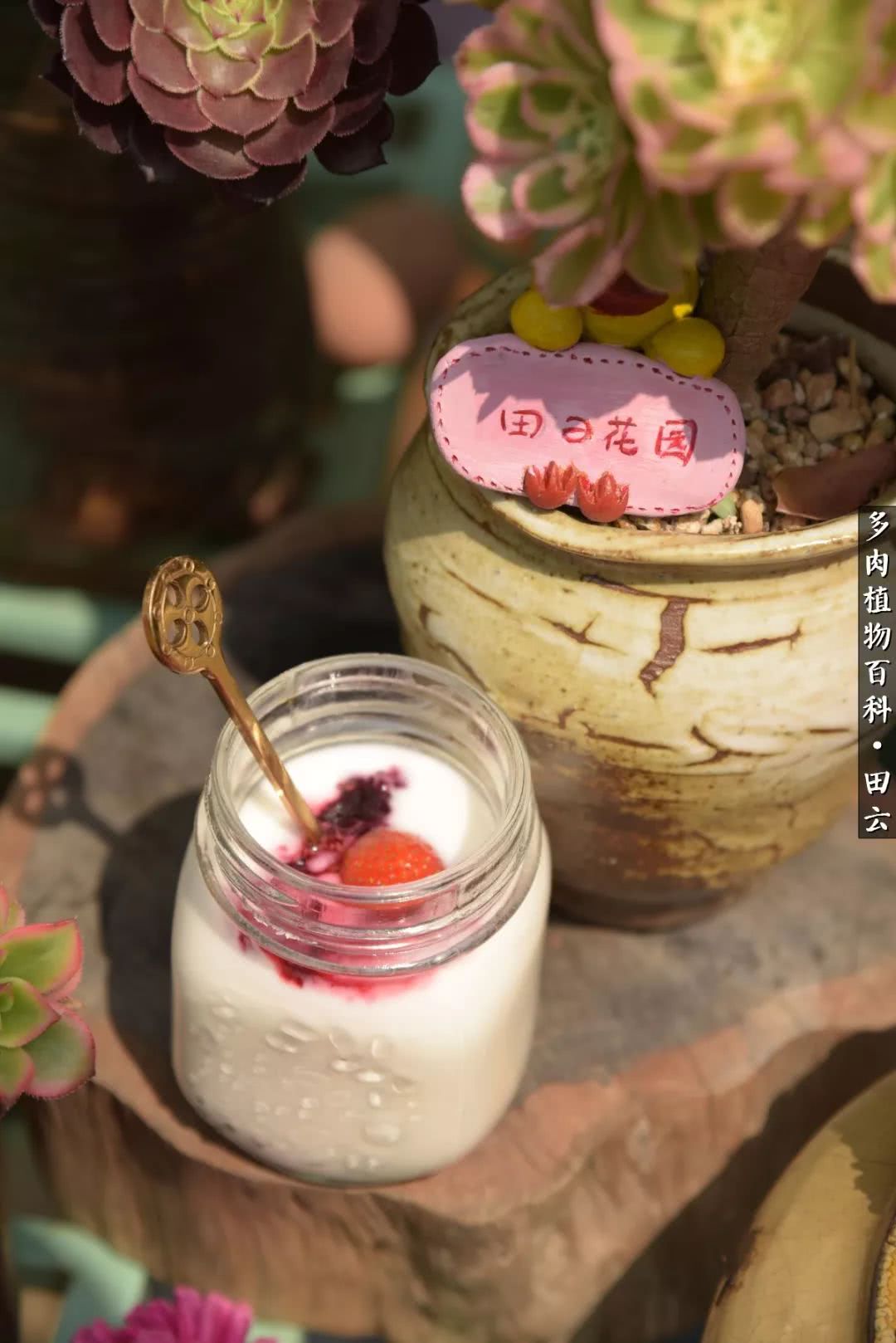 推开世界的门和自己和解,推开世界的门你所看到的风景