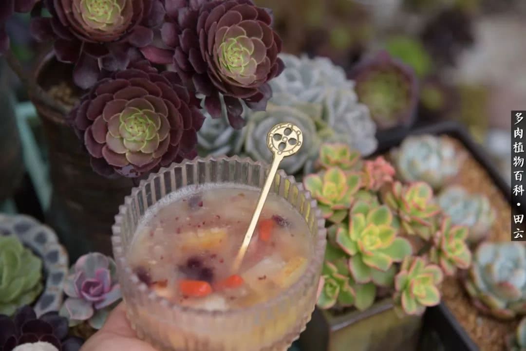 推开世界的门和自己和解,推开世界的门你所看到的风景