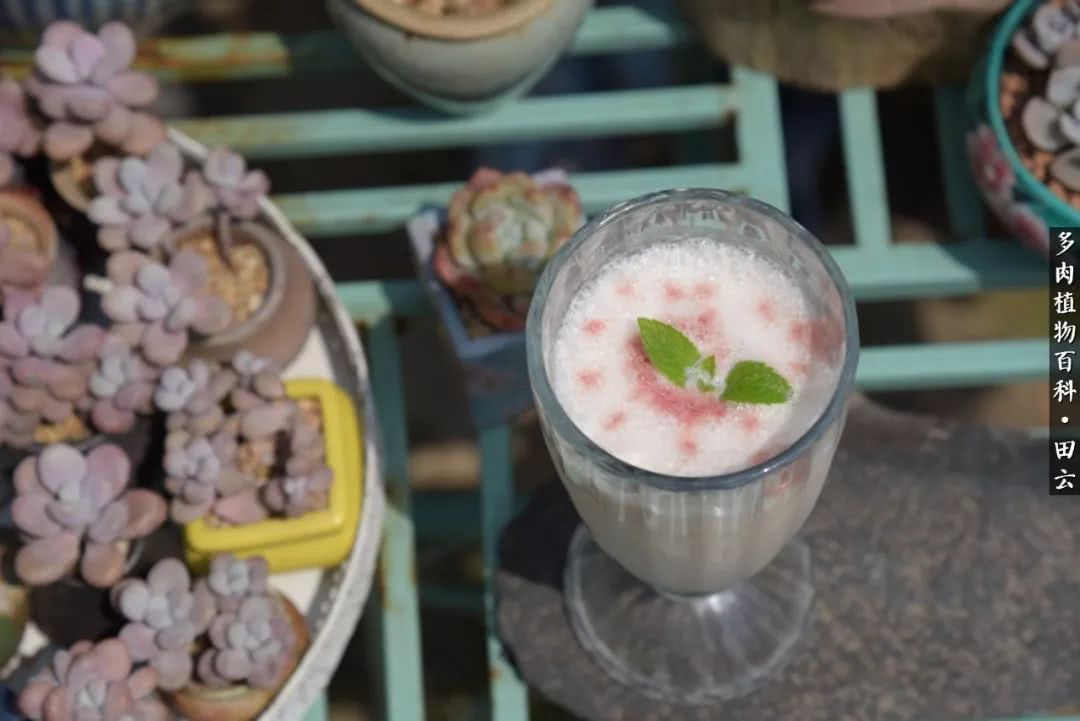 推开世界的门和自己和解,推开世界的门你所看到的风景