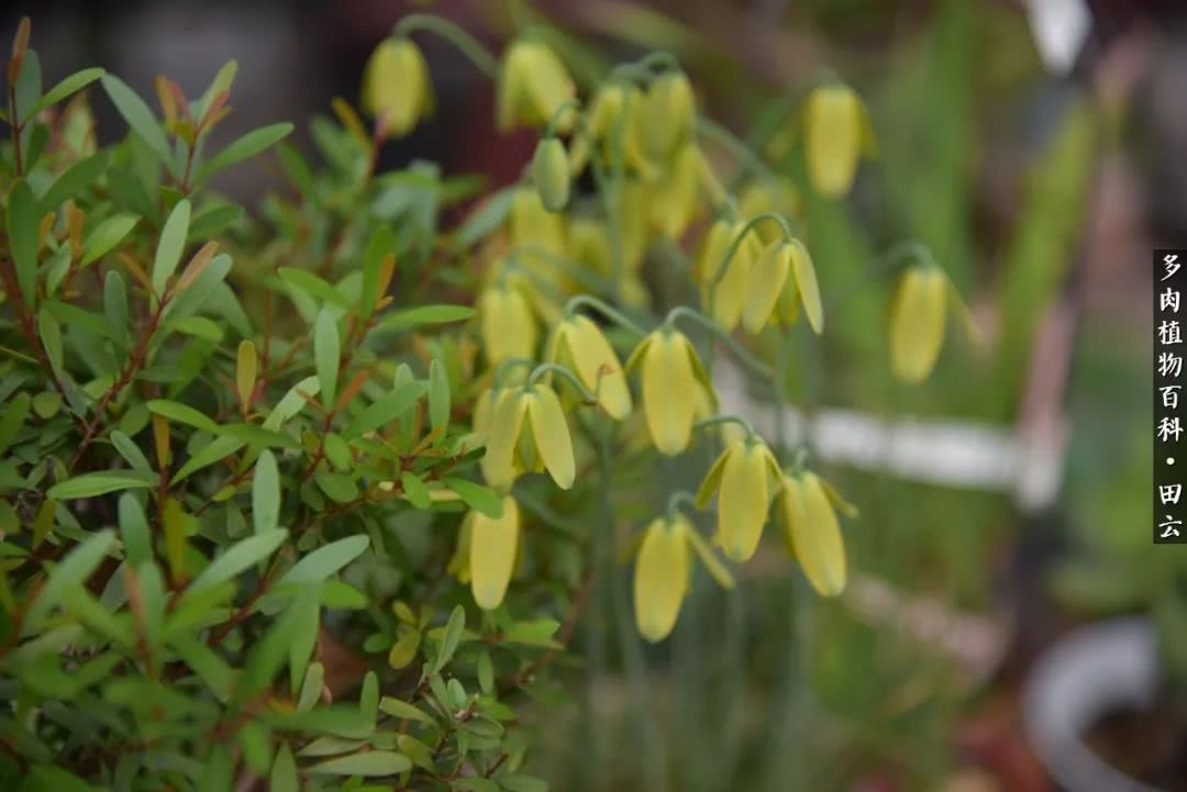 推开世界的门和自己和解,推开世界的门你所看到的风景
