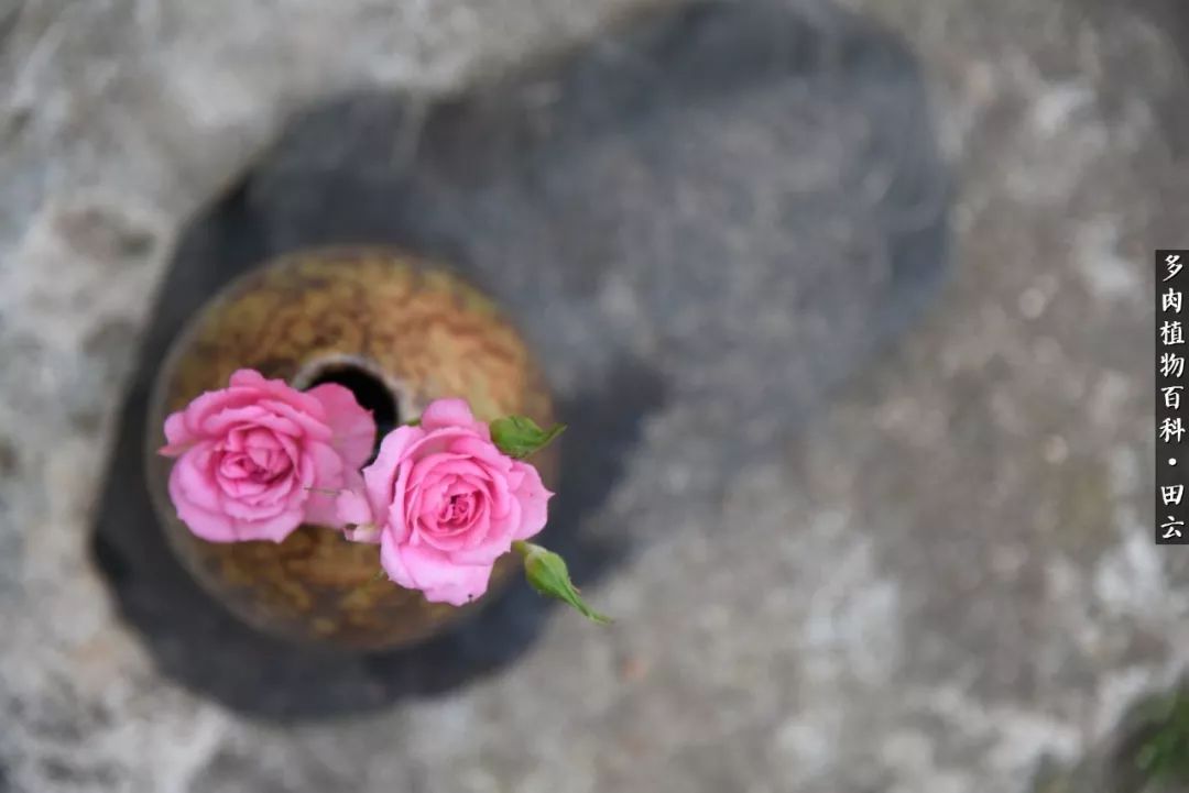 推开世界的门和自己和解,推开世界的门你所看到的风景