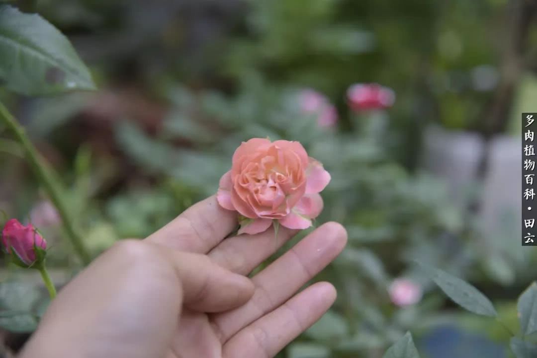 推开世界的门和自己和解,推开世界的门你所看到的风景