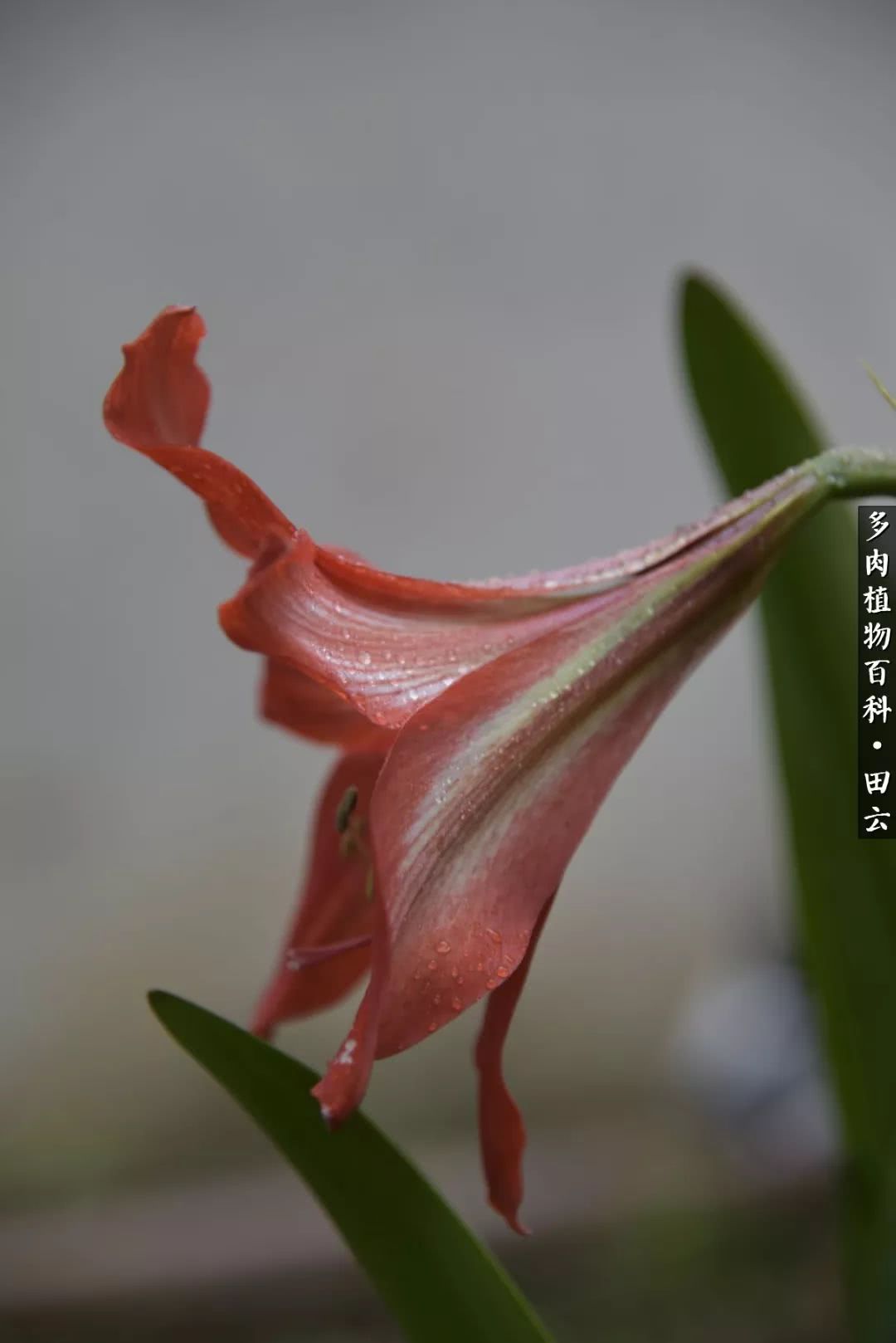 推开世界的门和自己和解,推开世界的门你所看到的风景