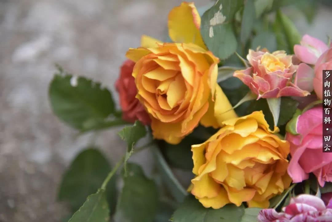 推开世界的门和自己和解,推开世界的门你所看到的风景