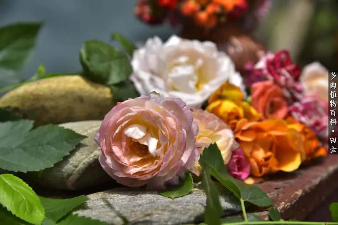 推开世界的门和自己和解,推开世界的门你所看到的风景