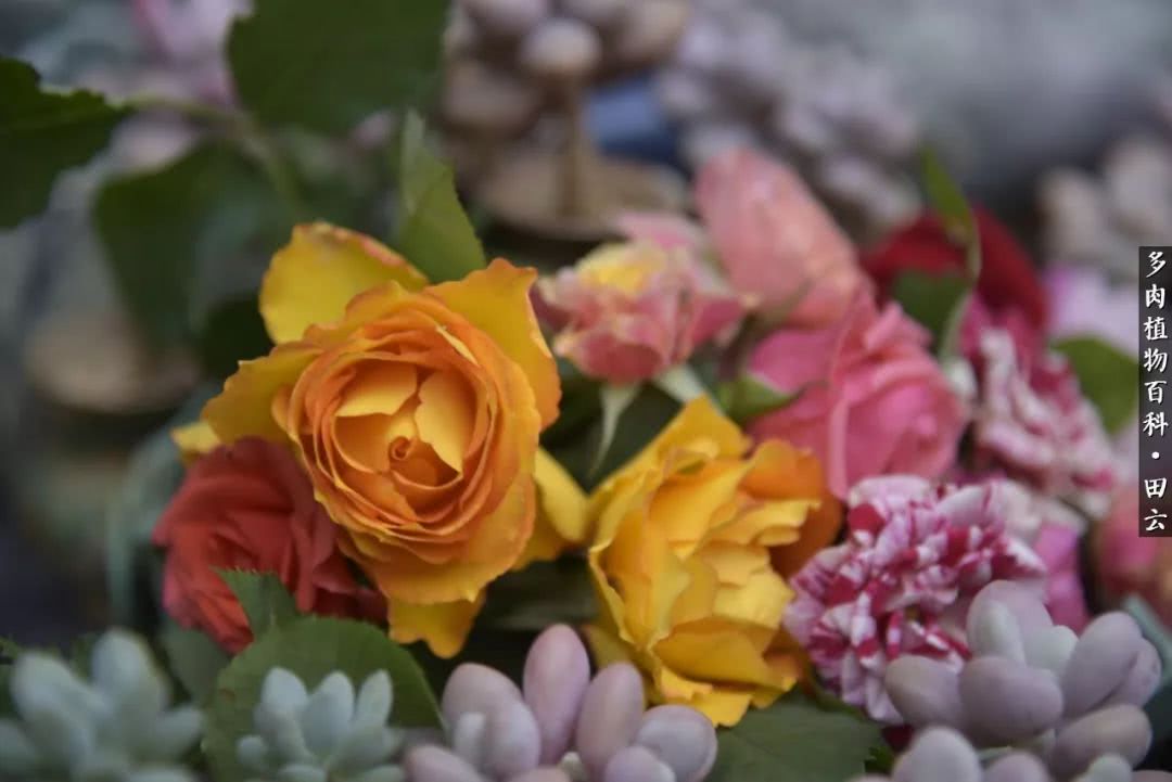 推开世界的门和自己和解,推开世界的门你所看到的风景