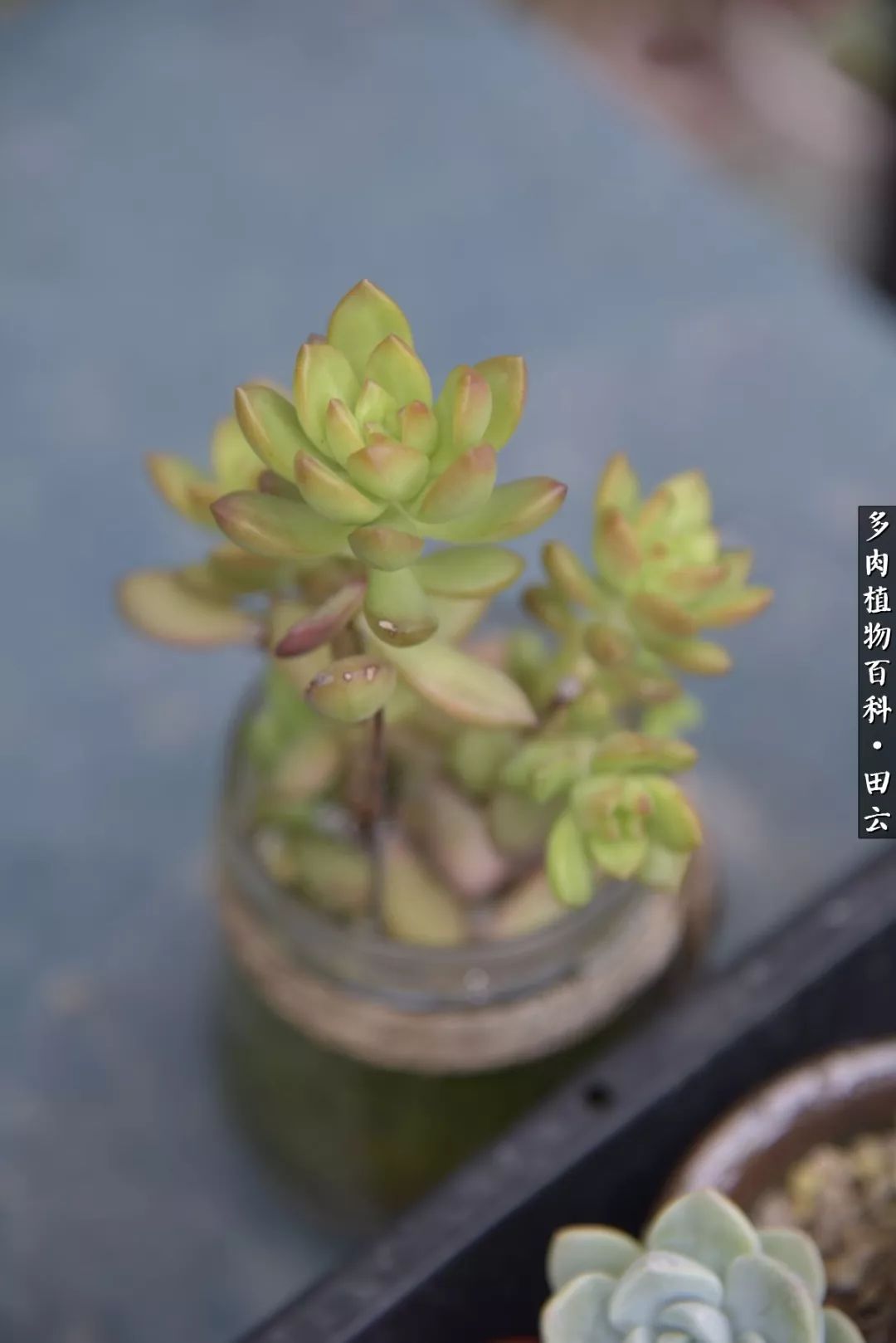 推开世界的门和自己和解,推开世界的门你所看到的风景