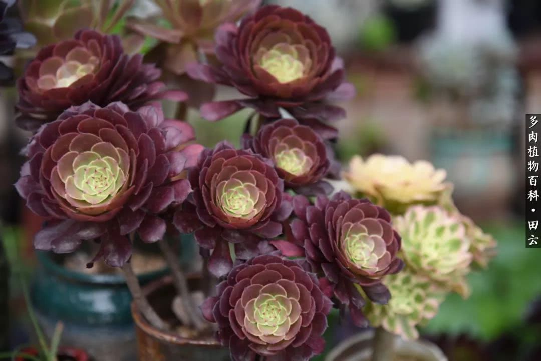 推开世界的门和自己和解,推开世界的门你所看到的风景