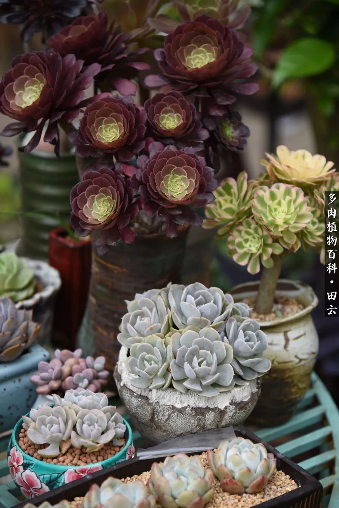 推开世界的门和自己和解,推开世界的门你所看到的风景